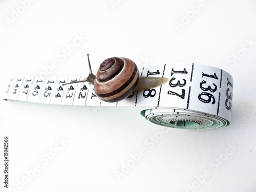 Snail Travelling down Tape Measure