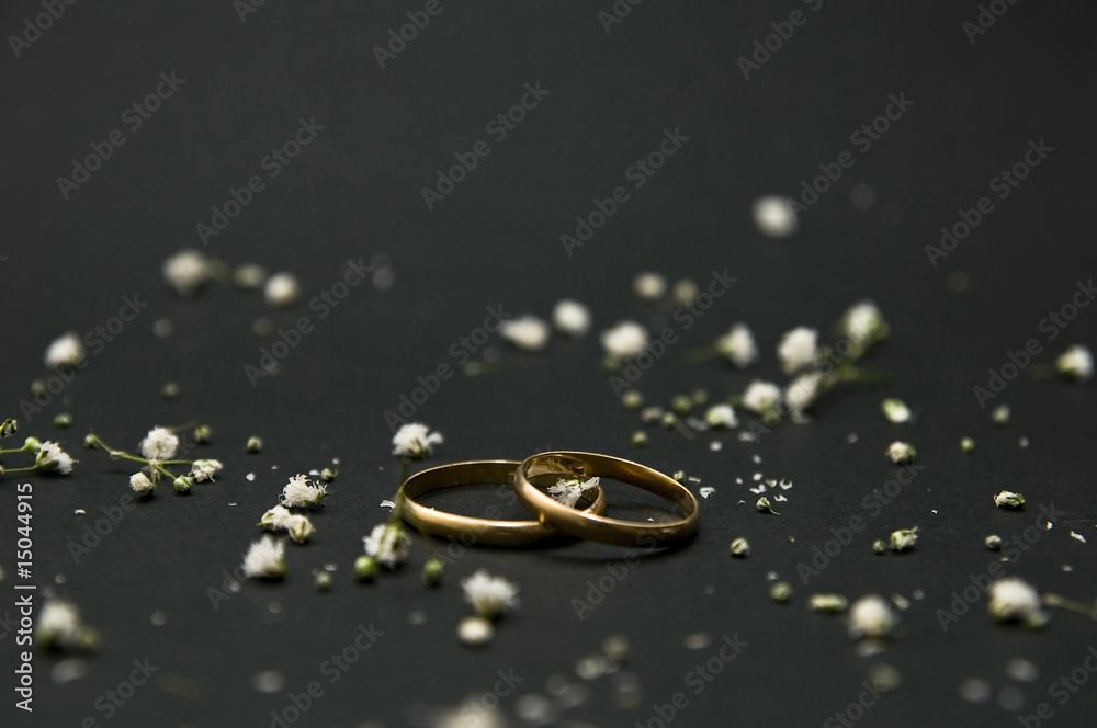 Fototapeta premium amor 49