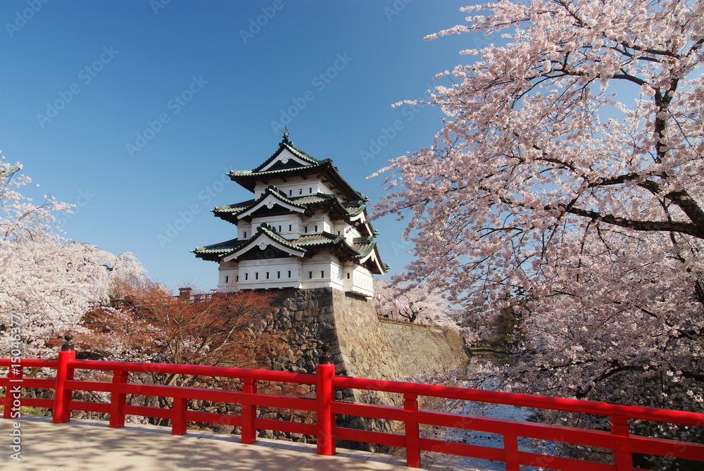 Naklejka premium Festiwal kwitnącej wiśni w Hirosaki