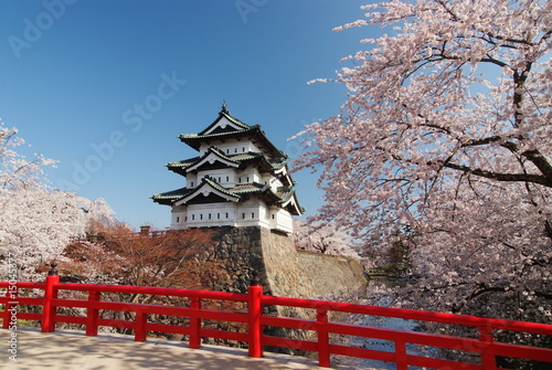 Hirosaki Cherry Blossoms Festival photo