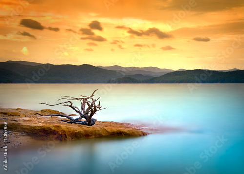 Mountain Lake Driftwood Sunset with Blue Water and Orange Sky