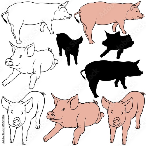 Pig Set 05 - colored hand d...