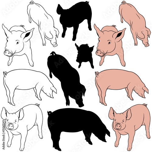 Pig Set 02 - colored hand d...