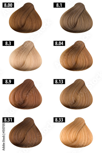 Hair Color Catalogue 9