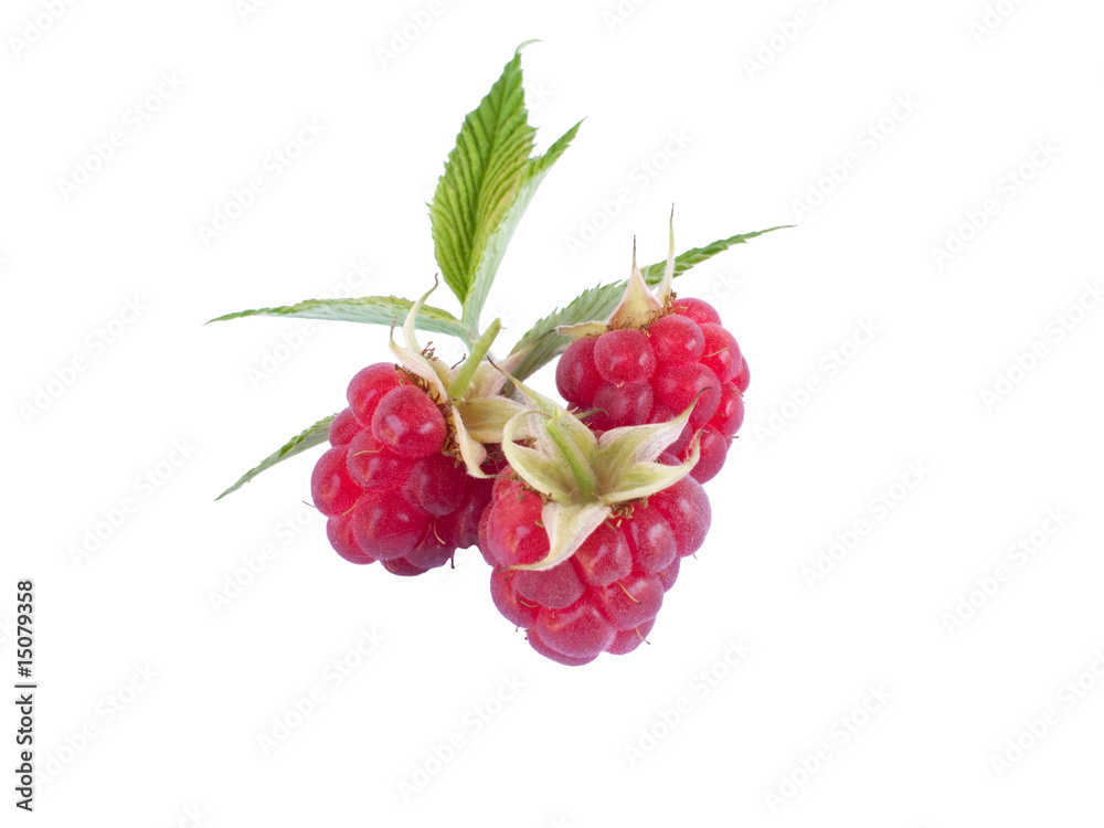 Raspberries on white background Raspberries on white background
