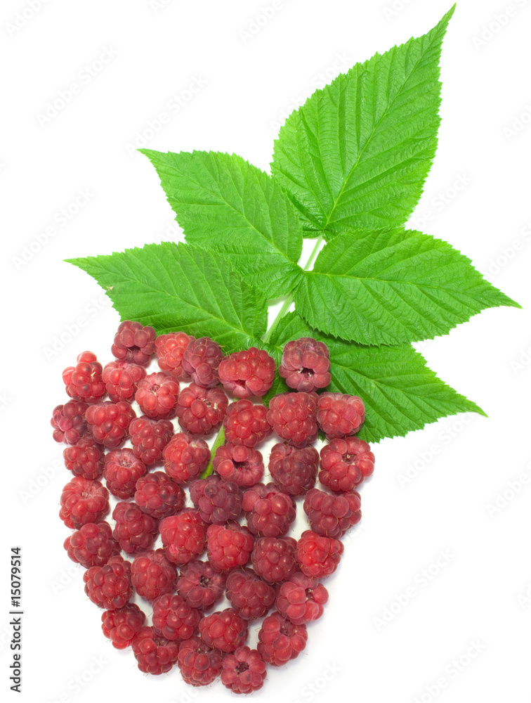 Conceptual raspberry on white background Conceptual raspberry on white background