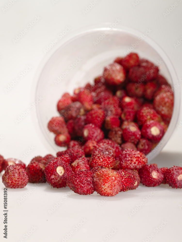 wild strawberry in glass over the table wild strawberry in glass over the table