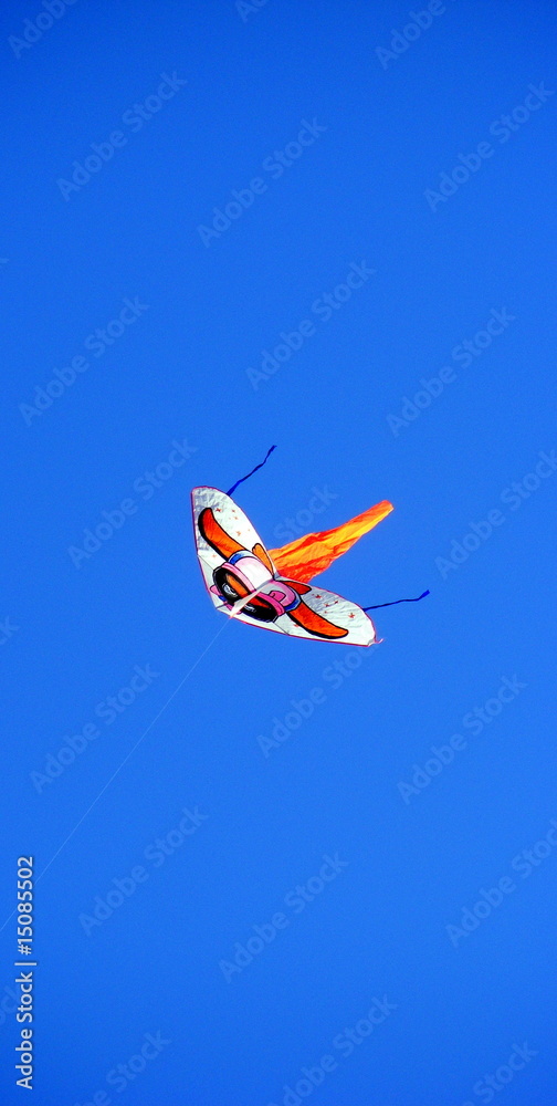 Aquilone Aquilone