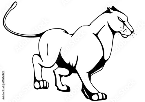 Panther photo