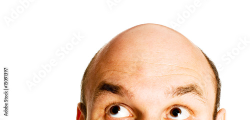bald head isolated photo