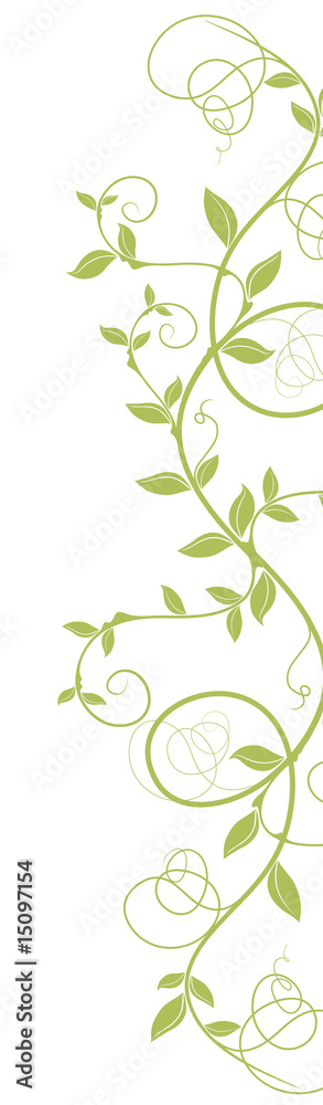 Obraz premium liane courbe vectoriel - ai - tige vert nature sur fond blanc