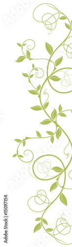 liane courbe vectoriel - ai - tige vert nature sur fond blanc photo