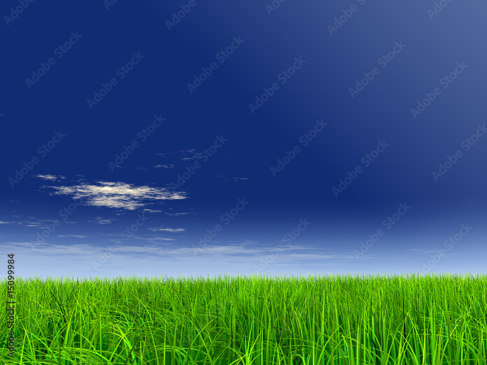 Obraz premium 3d green grass over a blue sky