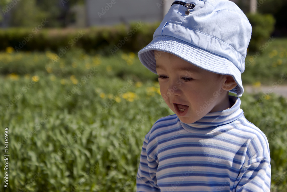 In summer to a garden In summer to a garden