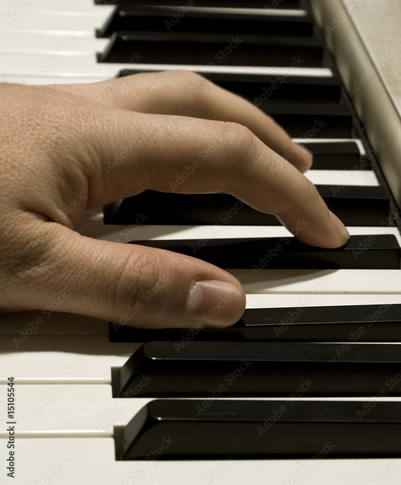 Fototapeta premium Pianist