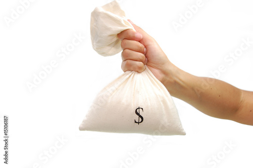 Money bag