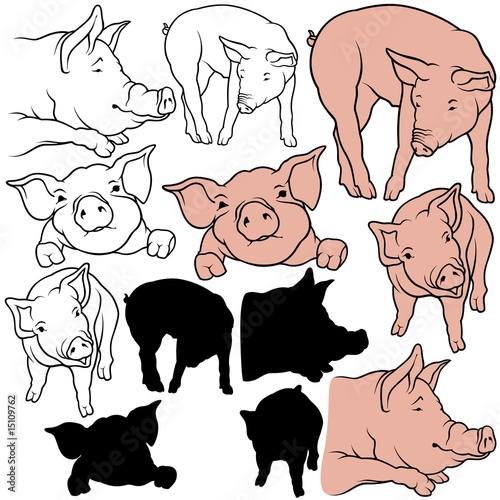 Pig Set 07 - colored hand d...