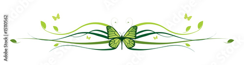 Elegant butterfly floral border