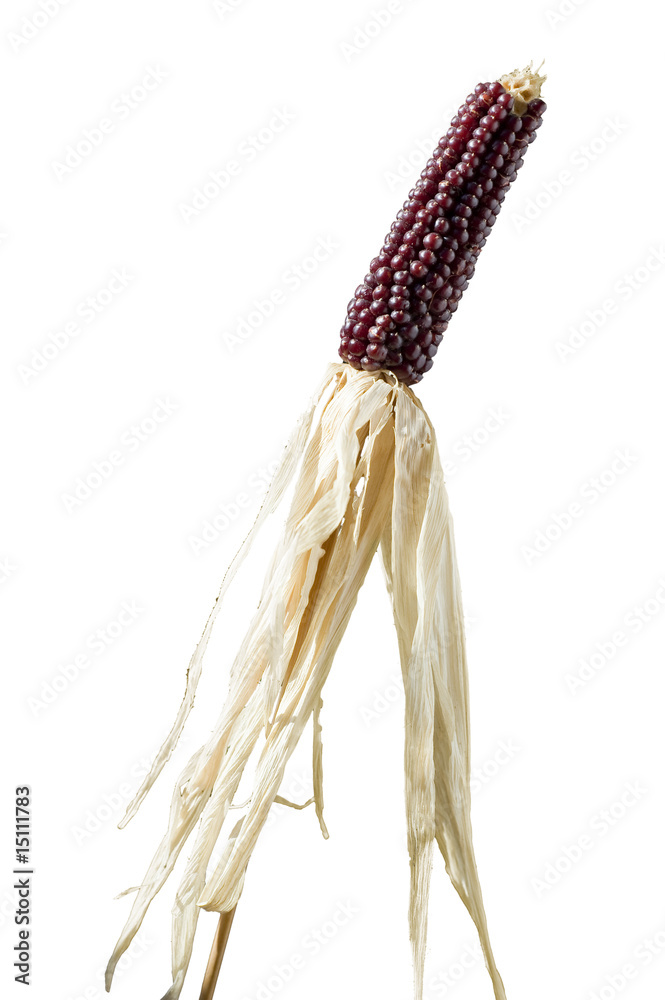 Sweetcorn