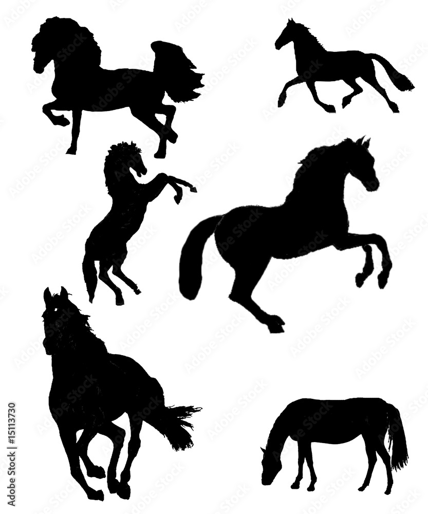 big collection of horse silhouettes