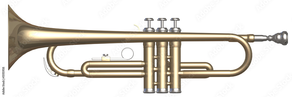 Fototapeta premium trumpet