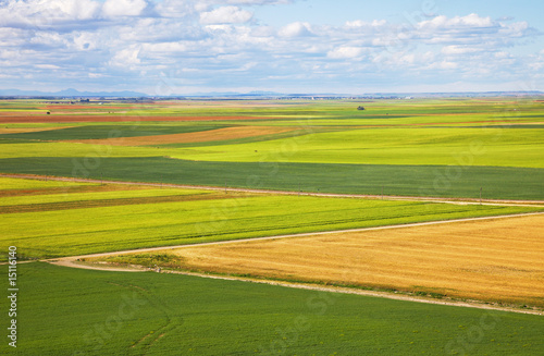 Castilla fields at spring