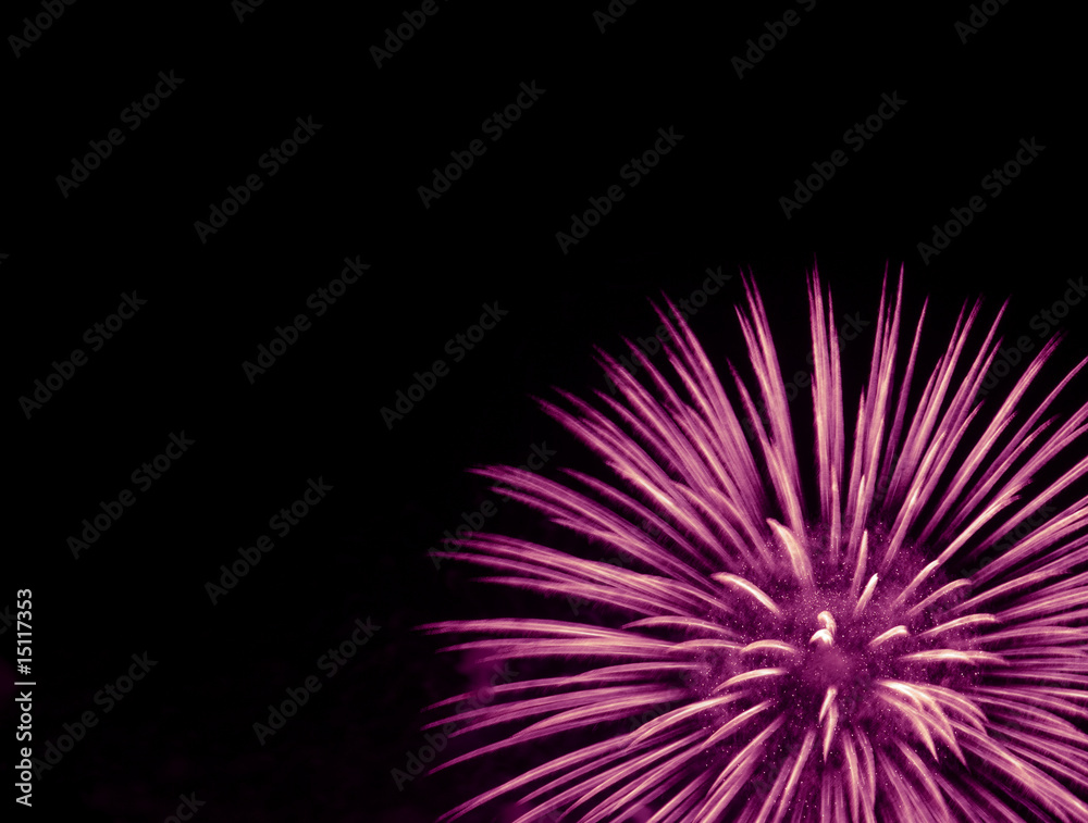 firework firework