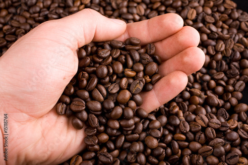 hand holding coffee beans