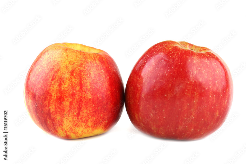Apple Apple
