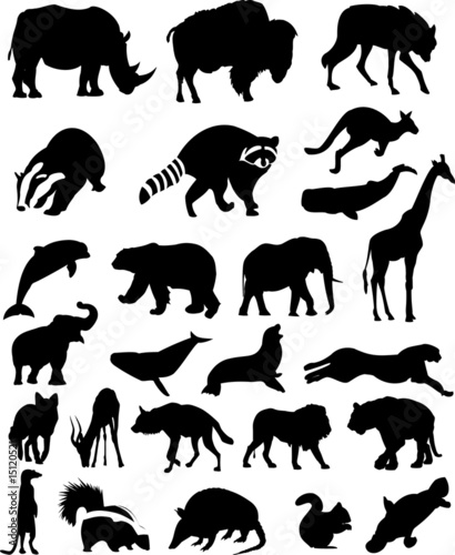 Fototapeta Naklejka Na Ścianę i Meble -  Collection of Animal Silhouettes - Set of 25 Mammals