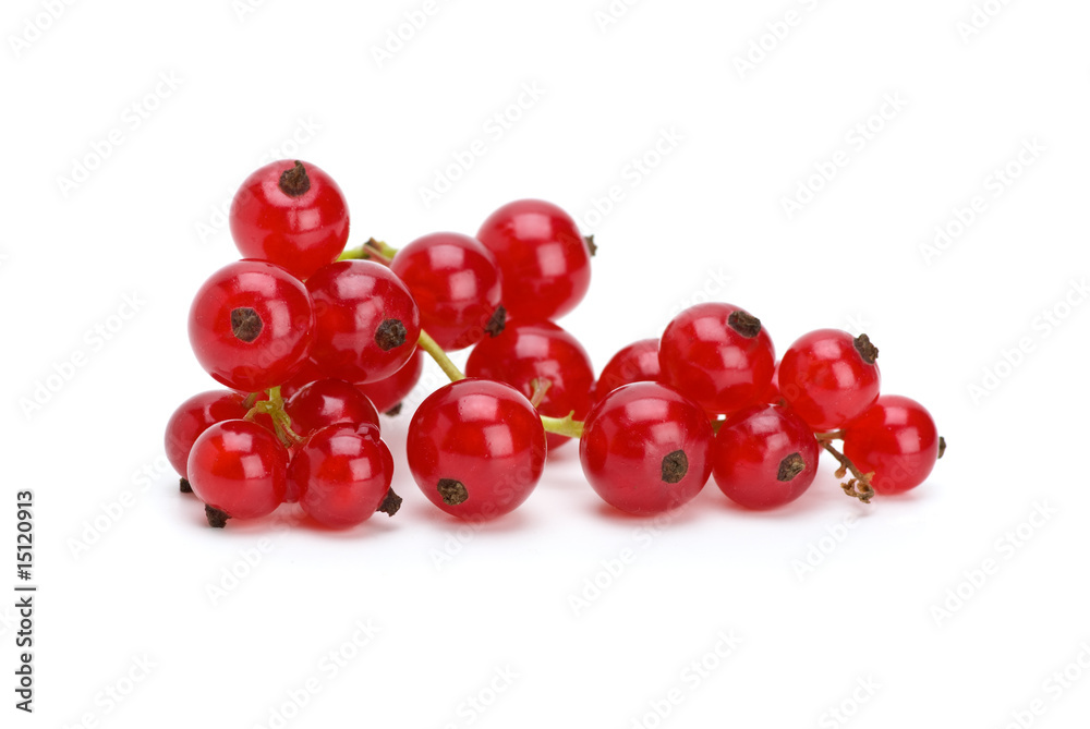 Claster of red currants
