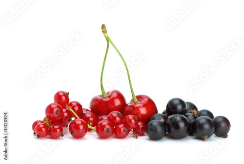 Redcurrants,blackcurrants and red cherries