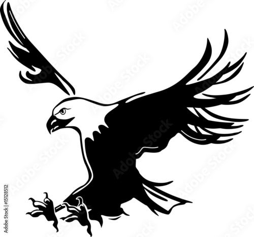 adler-fliegend