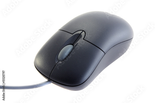 The computer mouse, it is isolated
