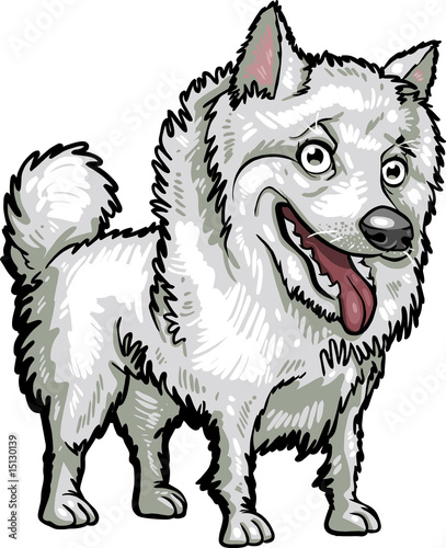 Dog Breeds: American Eskimo