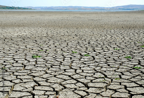 global warming - drought