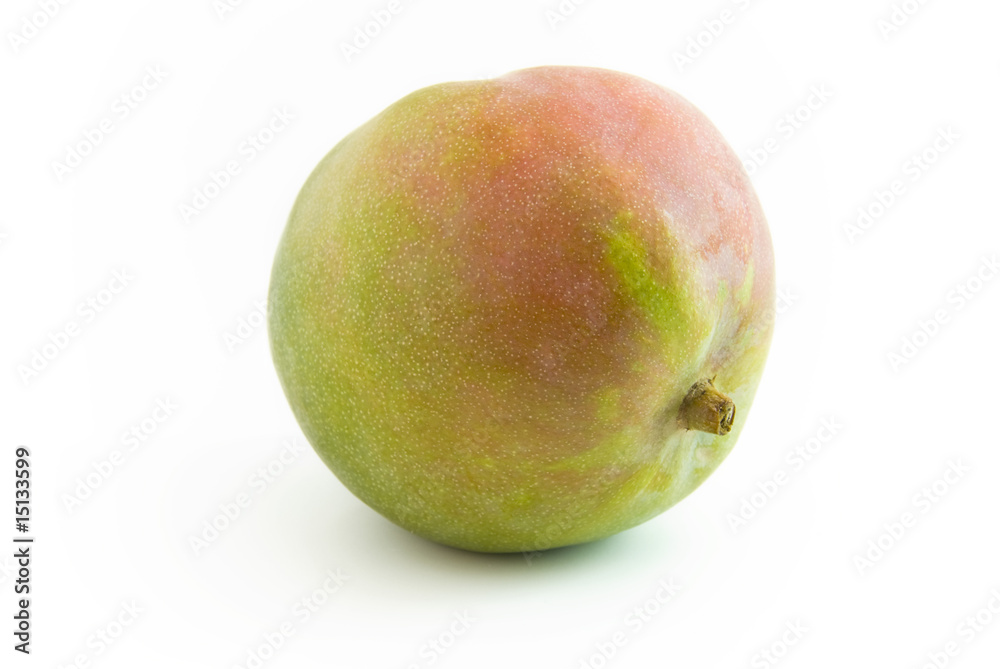 Mango liegend Mango liegend