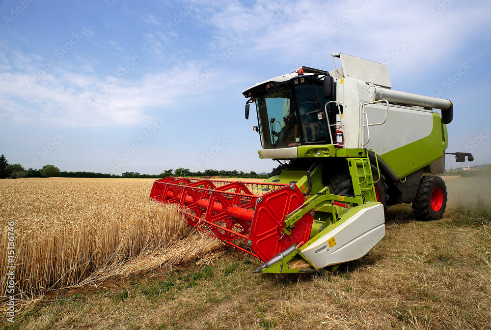 Obraz premium mietitura