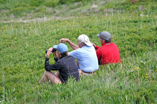 randonneurs en pleine observation