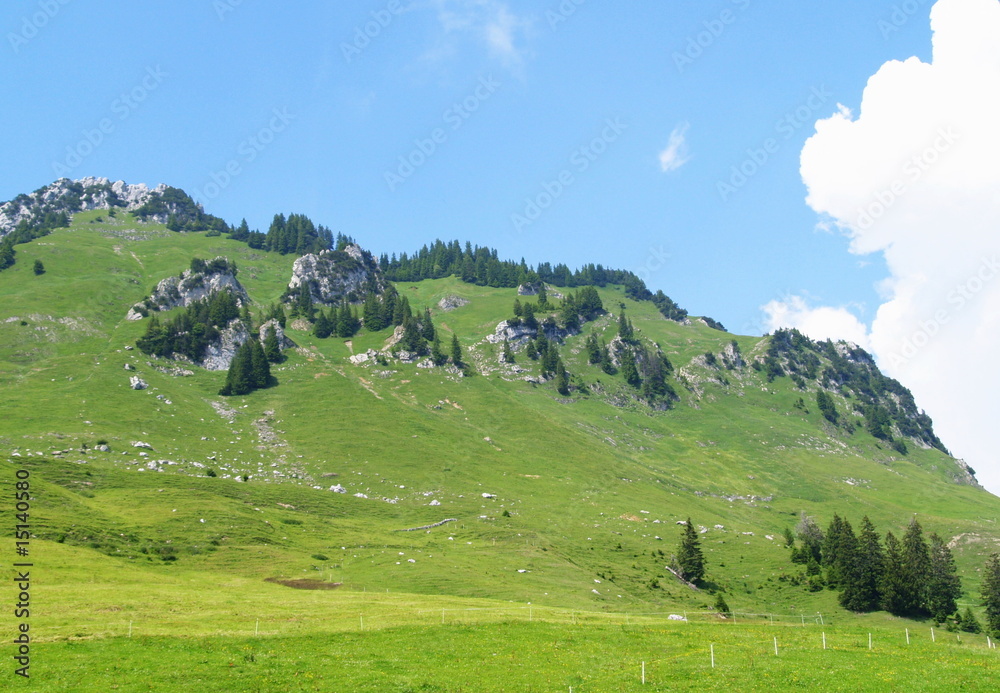 Naklejka premium écotourisme