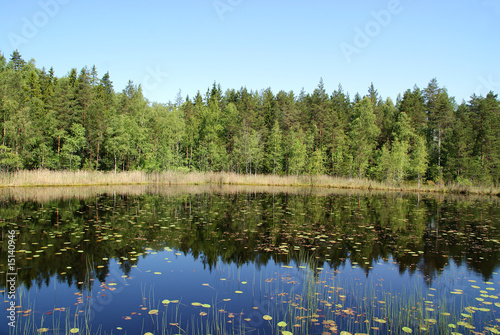 Reflections on Serene Lake