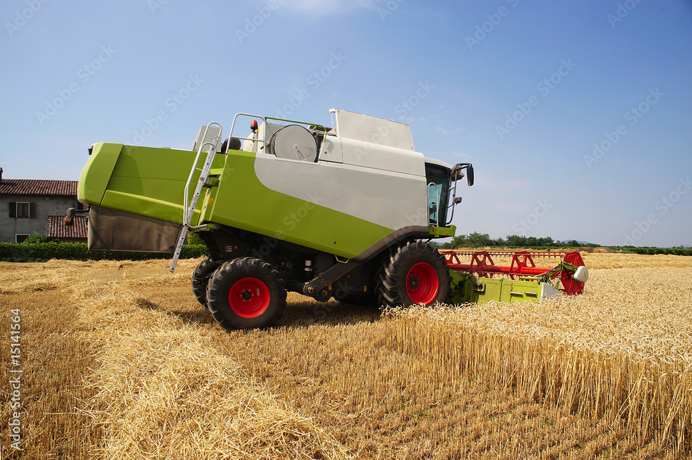 Obraz premium mietitura