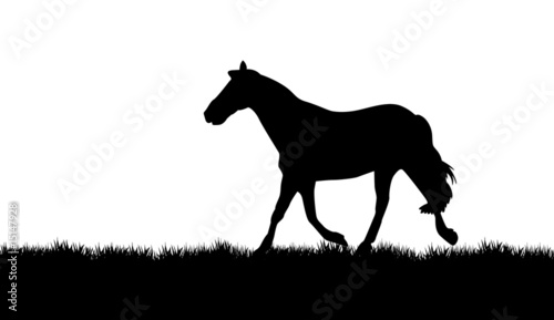 a vector horse walking on the grass