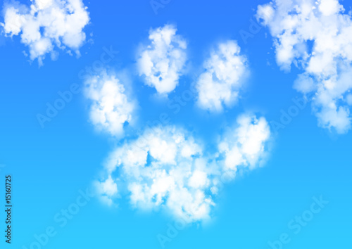 Wolke Pfote