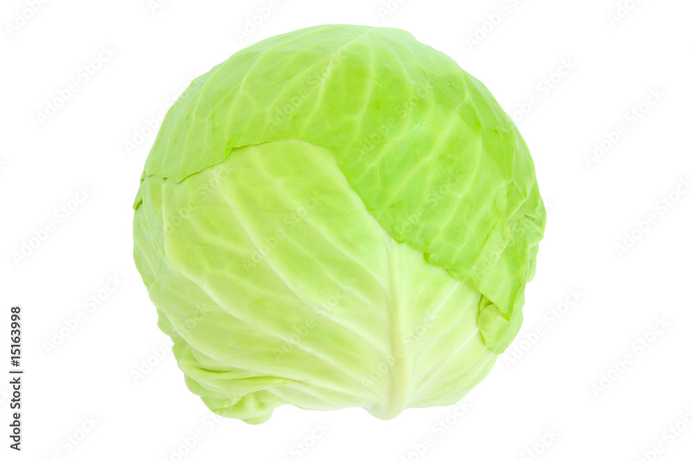 cabbage cabbage