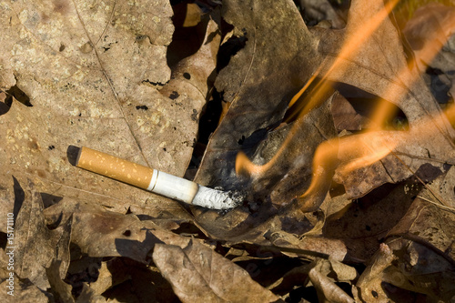 cigarette burning leaves