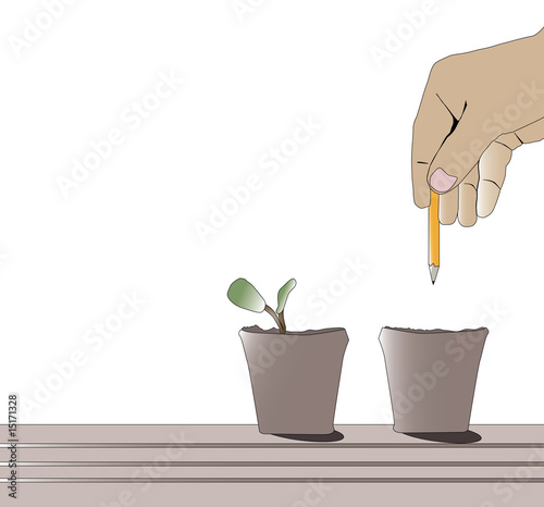 Potting seeds