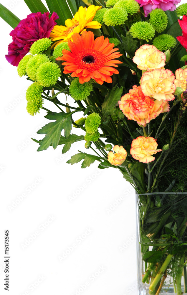 Obraz premium flowers