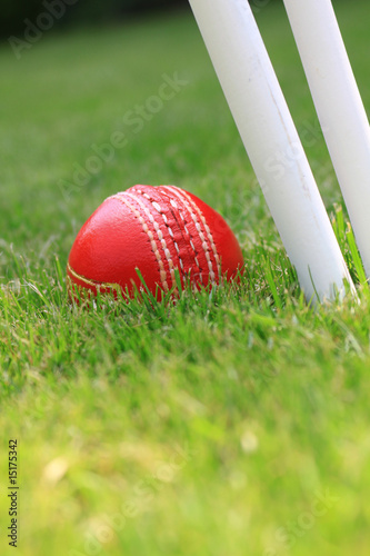 Cricket