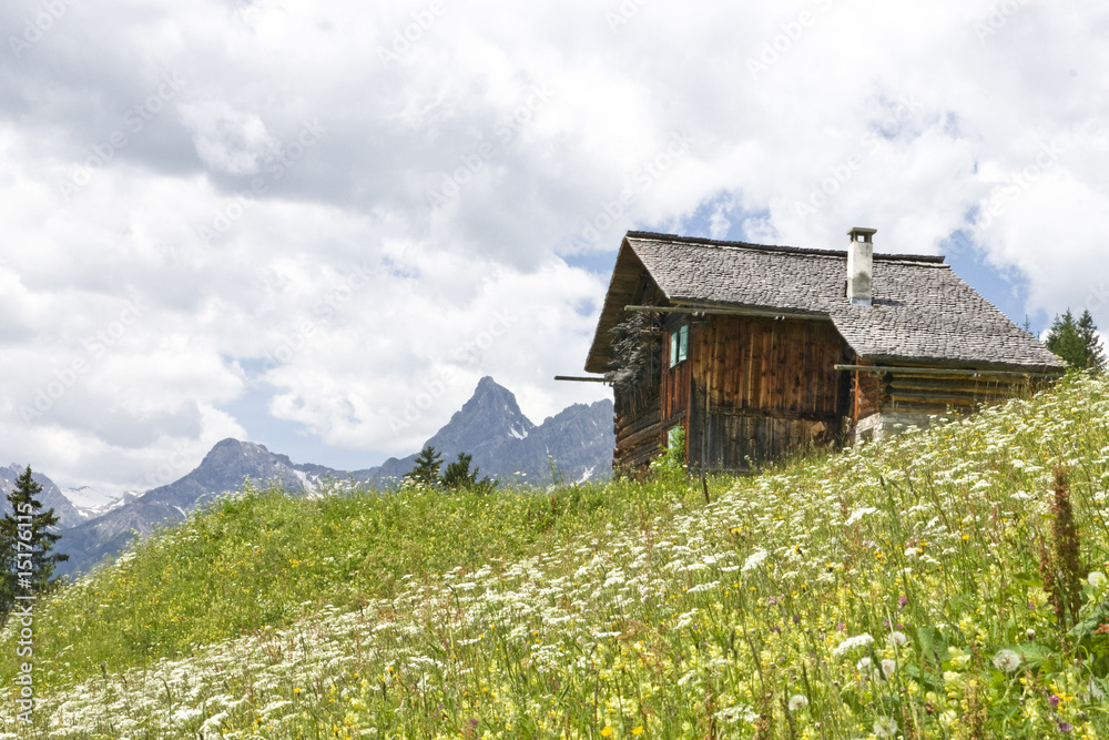 Fototapeta premium Bergwelt